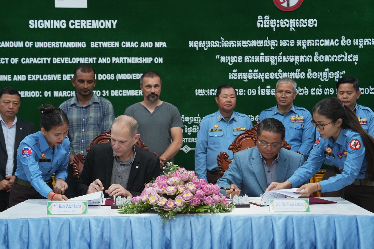 photo_9_2026-03-10_11-07-35